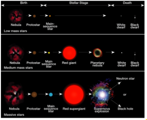 Life cycle stages for stars of all masses