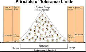 range of tolerance